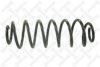 VW 71851372 Coil Spring